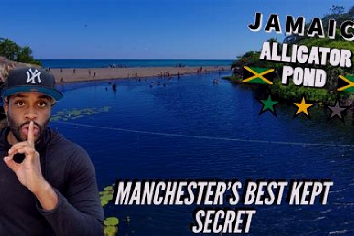 Quinn, 32 — Escort in Alligator Pond, Jamaica