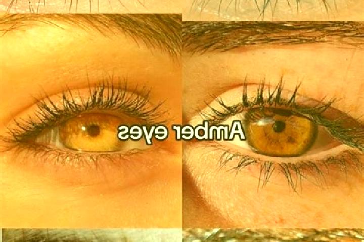 Quinn, 33, a chestnut amber-eyed mixed companion based in Janova. Offering 69, Duos, Overnight, Deep French Kissing. Available for incall and outcall, overni...