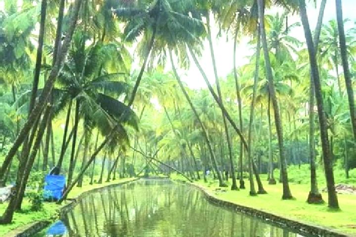 Quinn, 34 — Escort in Kunnamkulam, India