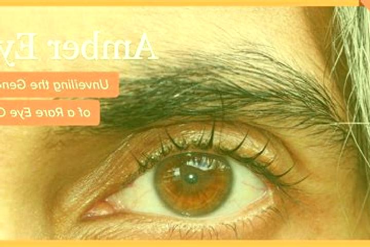 Quinn, 35, a red amber-eyed european companion based in Albany. Offering Roleplay, Massage, Prostate Massage, Couples. Available for incall and outcall, day ...