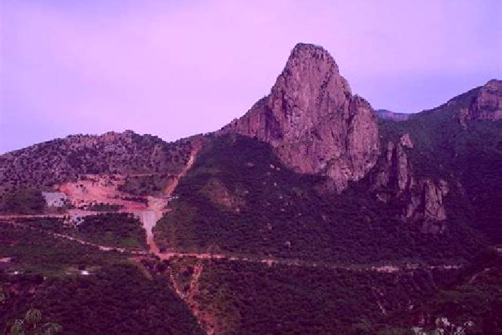 Quinn, 36 — Escort in Cerro del Indio (El Indio), Mexico