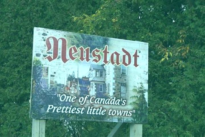 Quinn, 36 — Escort in Neustadt, Canada