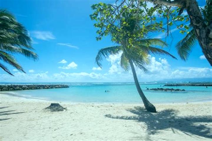 Quinn, 36 — Escort in Sainte-Anne, Guadeloupe
