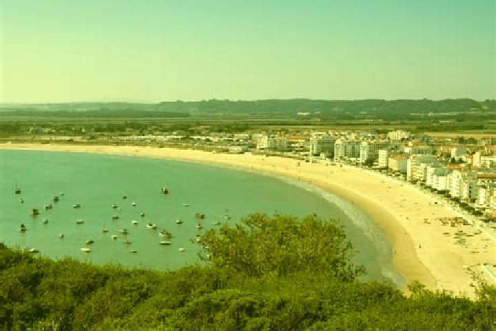 Quinn, 39 — Escort in Sao Martinho do Bispo, Portugal