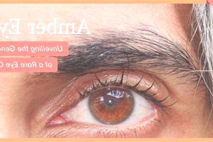 Riley, 20, a red amber-eyed middle eastern companion based in Santa Terezinha de Goias. Offering Dinner Date, Girlfriend Experience. Available for incall and...
