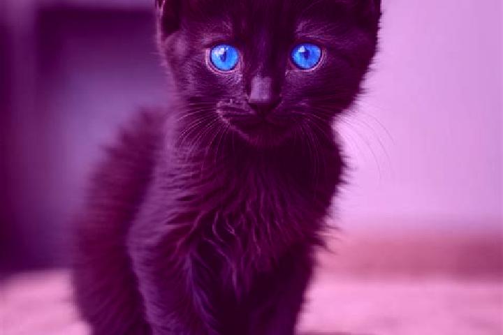 Riley, 21, a black blue-eyed mediterranean companion based in Lavenham. Offering Striptease, BDSM, GFE. Available for incall and outcall, overnight bookings ...