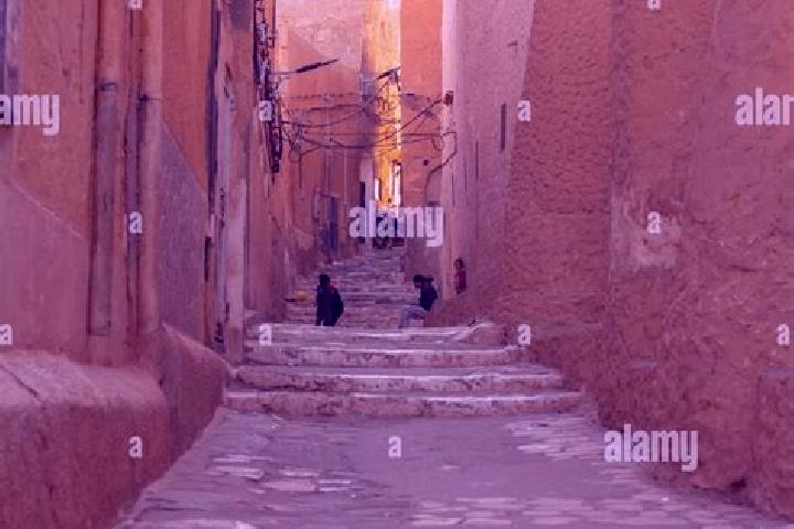 Riley, 21 — Escort in Ksar Kaddour, Algeria