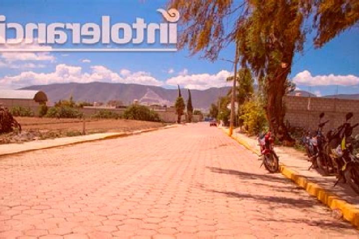 Riley, 22 — Escort in Palmarito Tochapan, Mexico