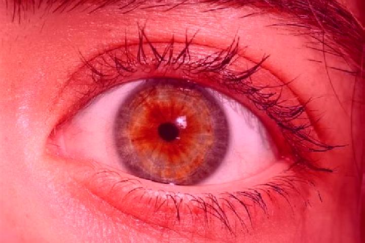 Riley, 23, a red hazel-eyed european companion based in Grignon. Offering Tantra, Couples, A-Level, Fetish, Massage. Available for incall and outcall, day an...