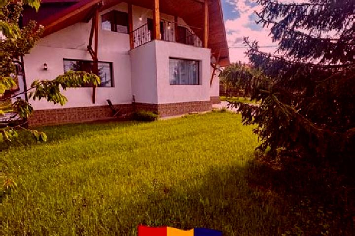 Riley, 23 — Escort in Scorteni, Romania