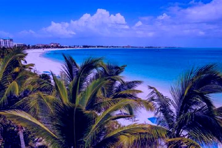 Riley, 24 — Escort in Kew, Turks and Caicos Islands