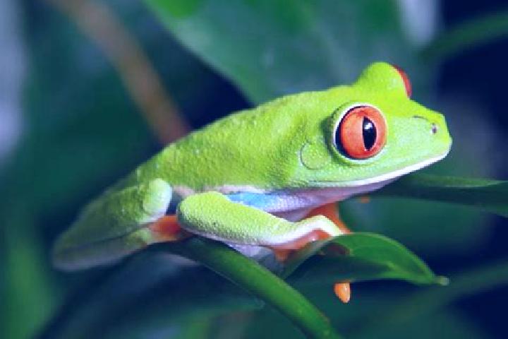 Riley, 25, a red green-eyed caribbean companion based in West Ilsley. Offering Deep French Kissing, CIM, Roleplay, OWO, Party Girl. Available for incall and ...