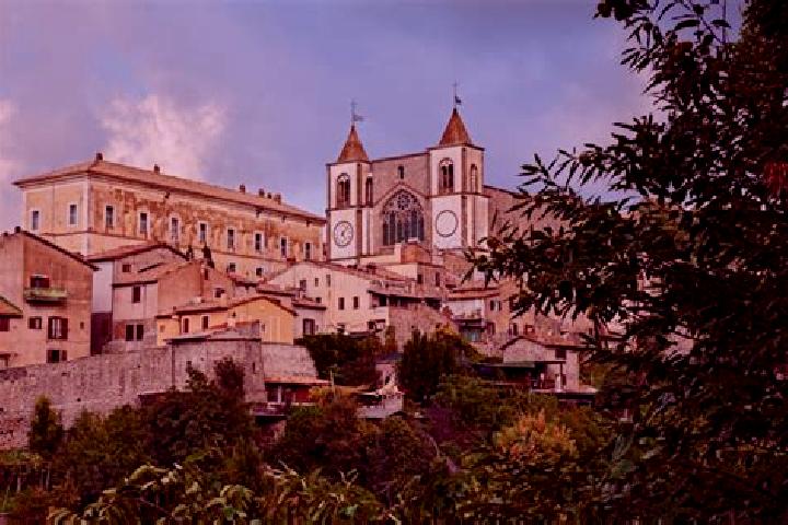 Riley, 26 — Escort in San Martino al Cimino, Italy