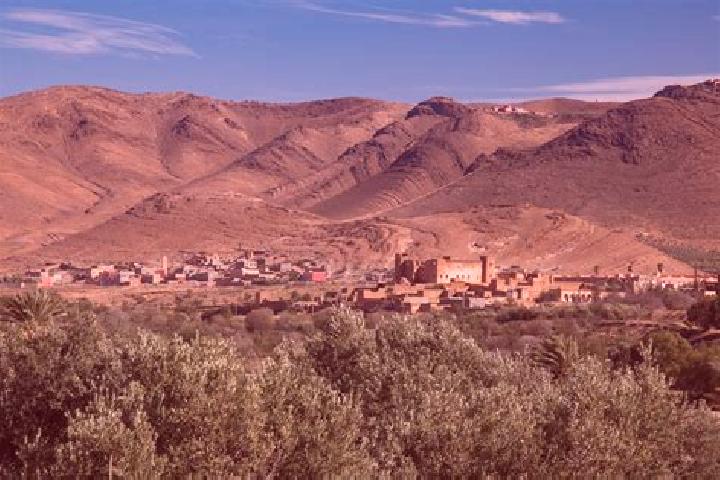 Riley, 26 — Escort in Taliouine, Morocco