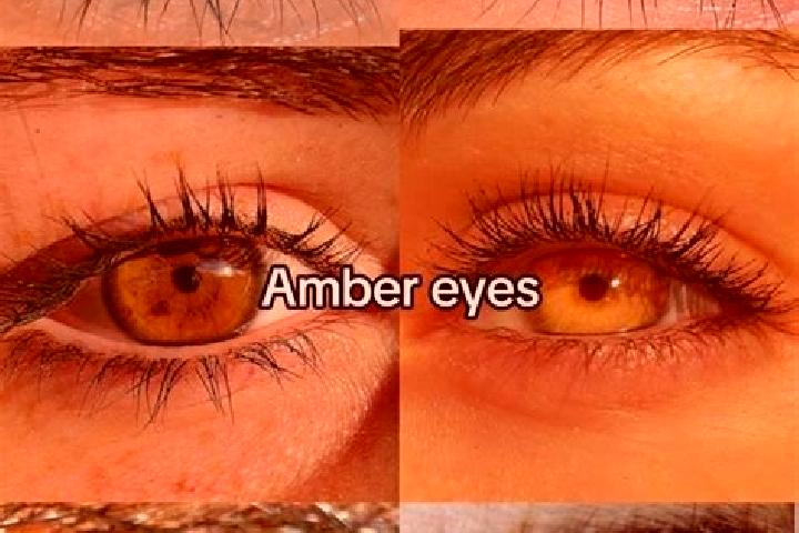 Riley, 27, a chestnut amber-eyed slavic companion based in Urspringen. Offering Couples, Massage, Overnight, Tantra, 69. Available for incall and outcall, da...