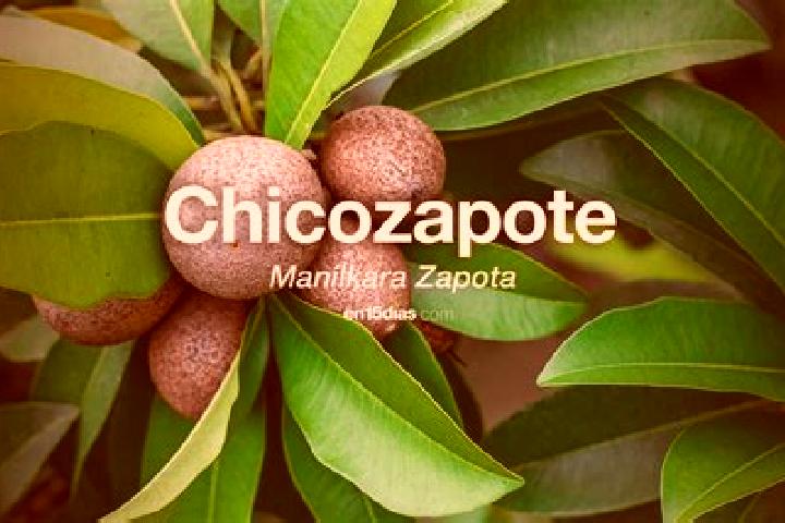 Riley, 29 — Escort in Zapotitlan de la Fuente (El Zapote), Mexico