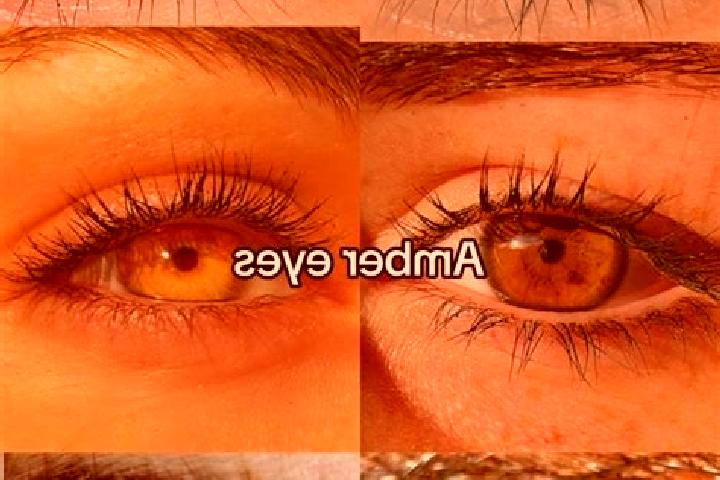 Riley, 30, a chestnut amber-eyed caribbean companion based in Wolfskehlen. Offering GFE, Roleplay, Travel Companion. Available for incall and outcall, overni...