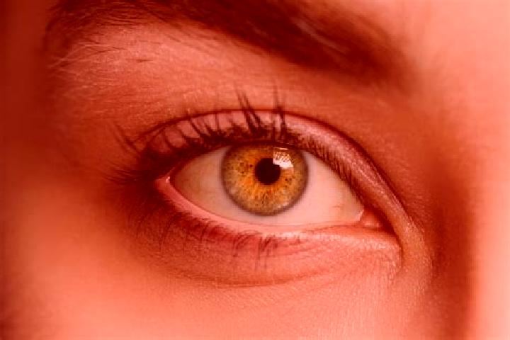 Riley, 30, a chestnut hazel-eyed mixed companion based in Petid. Offering Massage, GFE, Prostate Massage. Available for incall and outcall, overnight booking...