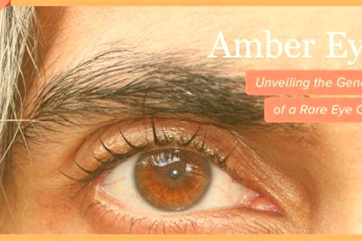 Riley, 30, a red amber-eyed ebony companion based in Sammbakaha. Offering A-Level, OWO, Tantra, GFE. Available for incall and outcall, day and evening dates.