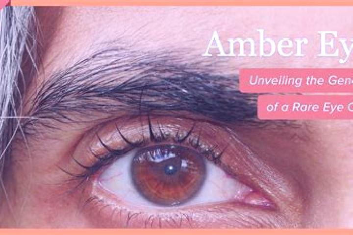Riley, 30, a red amber-eyed indian companion based in Polanowice-Poswietne-Ligota. Offering Erotic Massage, 69, Prostate Massage, Travel Companion, Deep Fren...