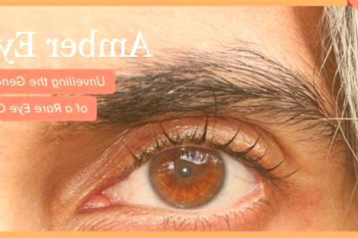Riley, 33, a red amber-eyed latina companion based in Bati. Offering Dinner Date, Prostate Massage, Tantra, 69. Available for incall and outcall, overnight b...