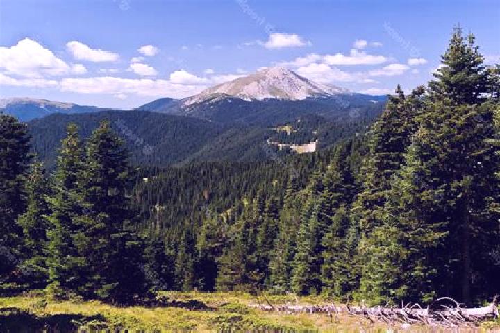 Riley, 33 — Escort in Ilgaz, Turkey