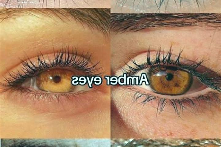 Riley, 35, a chestnut amber-eyed indian companion based in Selsingen. Offering OWO, Duos, GFE. Available for incall and outcall, day and evening dates.