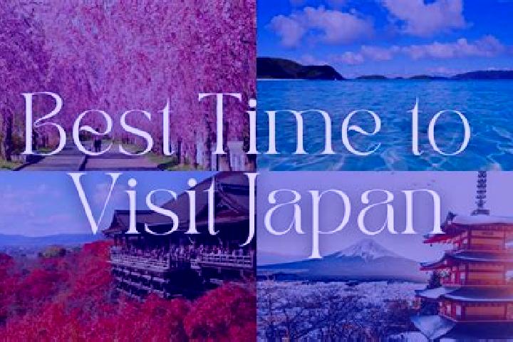 Riley, 35 — Escort in Hamanoichi, Japan