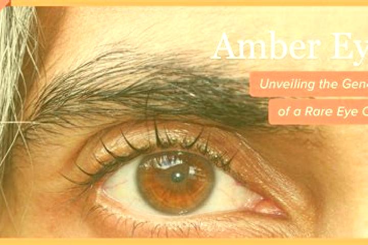 Riley, 36, a red amber-eyed caucasian companion based in Ramsbottom. Offering Deep French Kissing, Tantra, Domination. Available for incall and outcall, over...