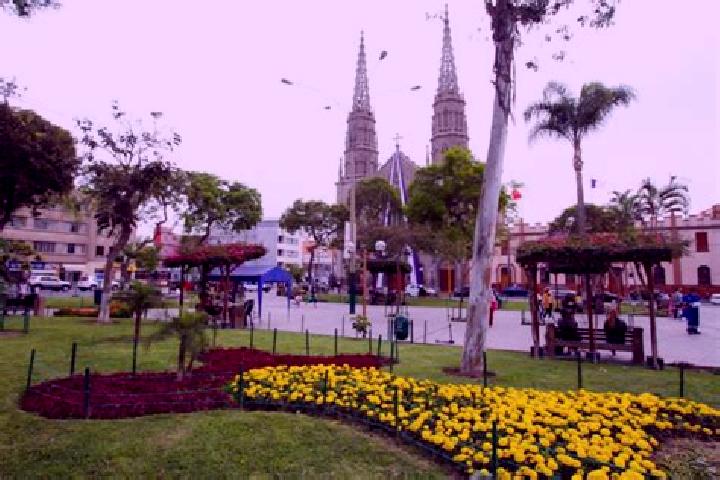 Riley, 36 — Escort in Jesus Maria, Peru