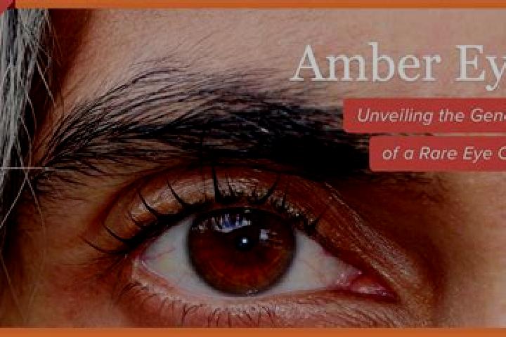 Riley, 38, a black amber-eyed indian companion based in Jietou. Offering Couples, GFE, OWO, Party Girl, Overnight. Available for incall and outcall, overnigh...