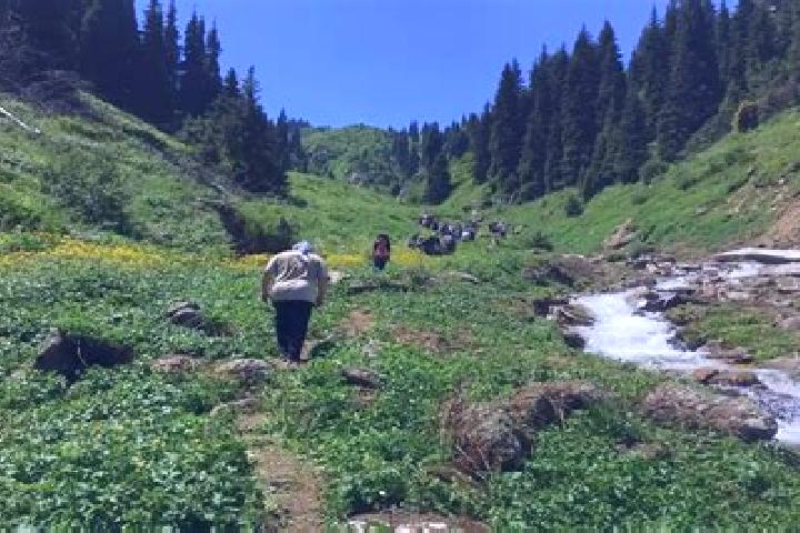 Riley, 38 — Escort in Aqadyr, Kazakhstan