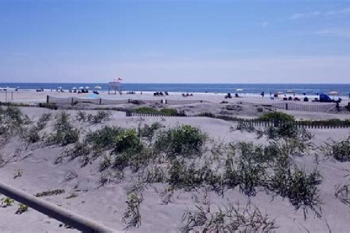 Riley, 39 — Escort in Brigantine, United States