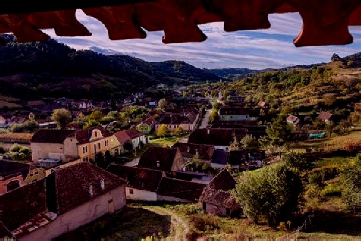 Riley, 39 — Escort in Cruceni, Romania