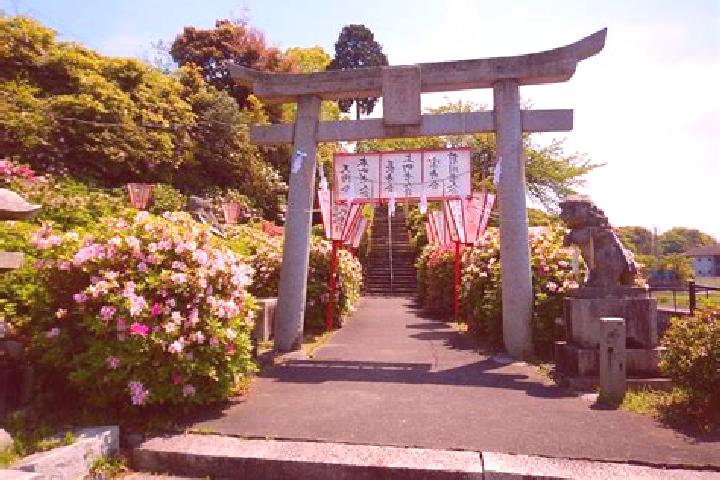 Riley, 39 — Escort in Toyohama, Japan