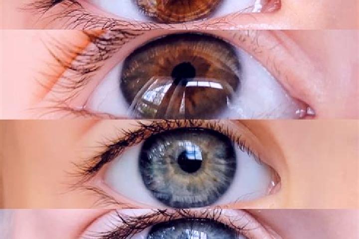 Rose, 20, a chestnut hazel-eyed asian companion based in Can-asujan. Offering Prostate Massage, 69, GFE. Available for incall and outcall, overnight bookings...