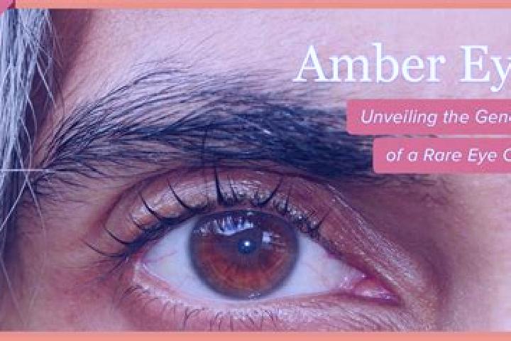 Rose, 20, a red amber-eyed slavic companion based in Waleska. Offering Massage, Duos, Tantra. Available for incall and outcall, day and evening dates.