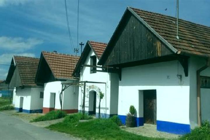 Rose, 20 — Escort in Blatnice pod Svatym Antoninkem, Czech Republic