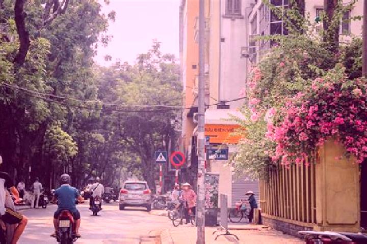 Rose, 20 — Escort in Ma Cooi, Vietnam