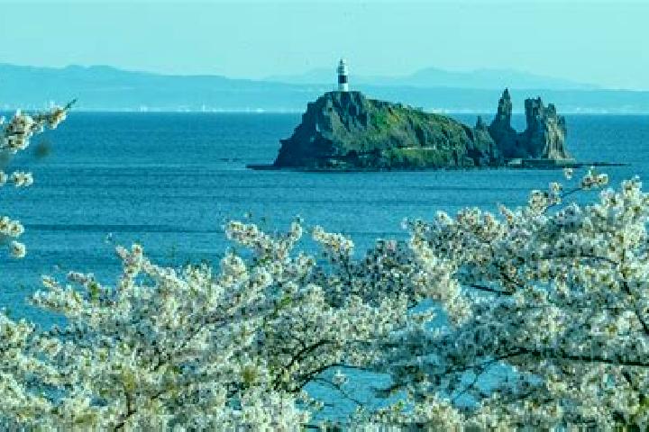 Rose, 20 — Escort in Mutsu, Japan