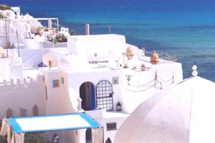 Rose, 20 — Escort in Tunis, Tunisia