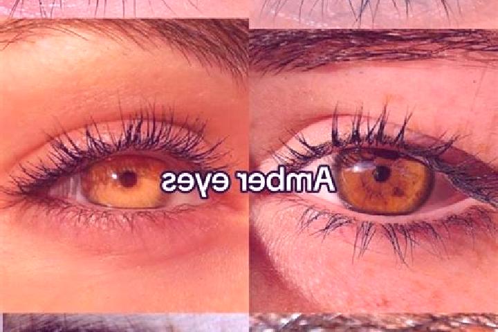 Rose, 21, a chestnut amber-eyed ebony companion based in Sant Eusanio. Offering Overnight, 69, Tantra. Available for incall and outcall, overnight bookings a...