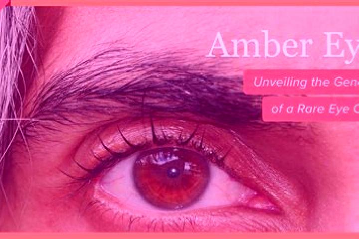 Rose, 22, a dark blonde amber-eyed caucasian companion based in Sannicoara. Offering Prostate Massage, Tantra, A-Level, Domination. Available for incall and ...