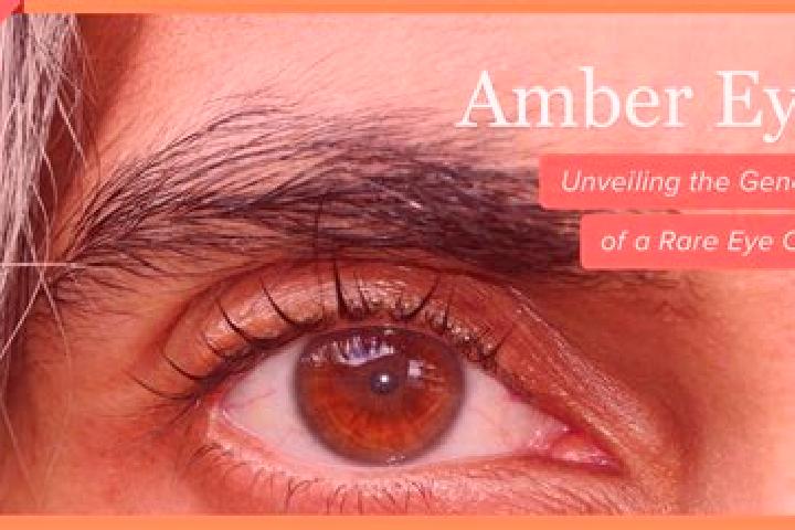 Rose, 22, a red amber-eyed middle eastern companion based in Yajiwa. Offering Party Girl, Massage, Overnight. Available for incall and outcall, overnight boo...