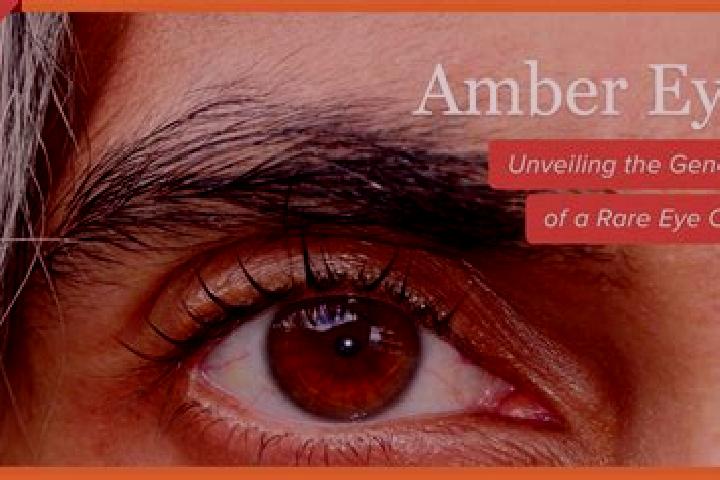 Rose, 22, a red amber-eyed slavic companion based in Raghunathpuram. Offering Massage, Domination, Fetish, Tantra. Available for incall and outcall, overnigh...