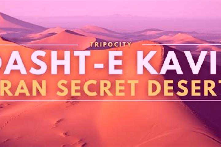 Rose, 22 — Escort in Ahi Dasht, Iran