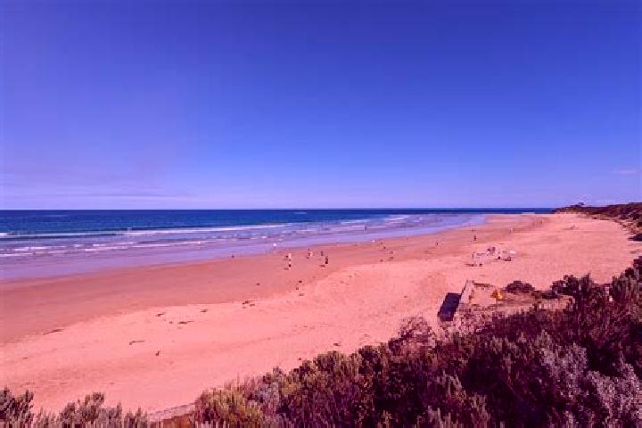 Rose, 23 — Escort in Anglesea, Australia