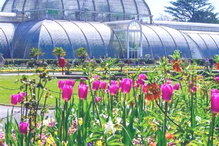 Rose, 23 — Escort in Kew Gardens, United States