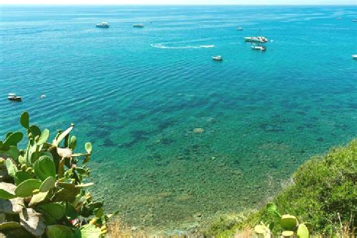 Rose, 23 — Escort in Marina di Casal Velino, Italy