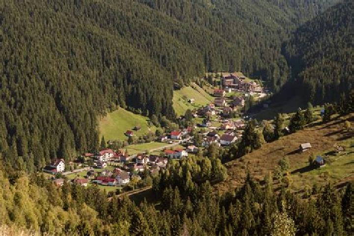 Rose, 23 — Escort in Racosul de Sus, Romania